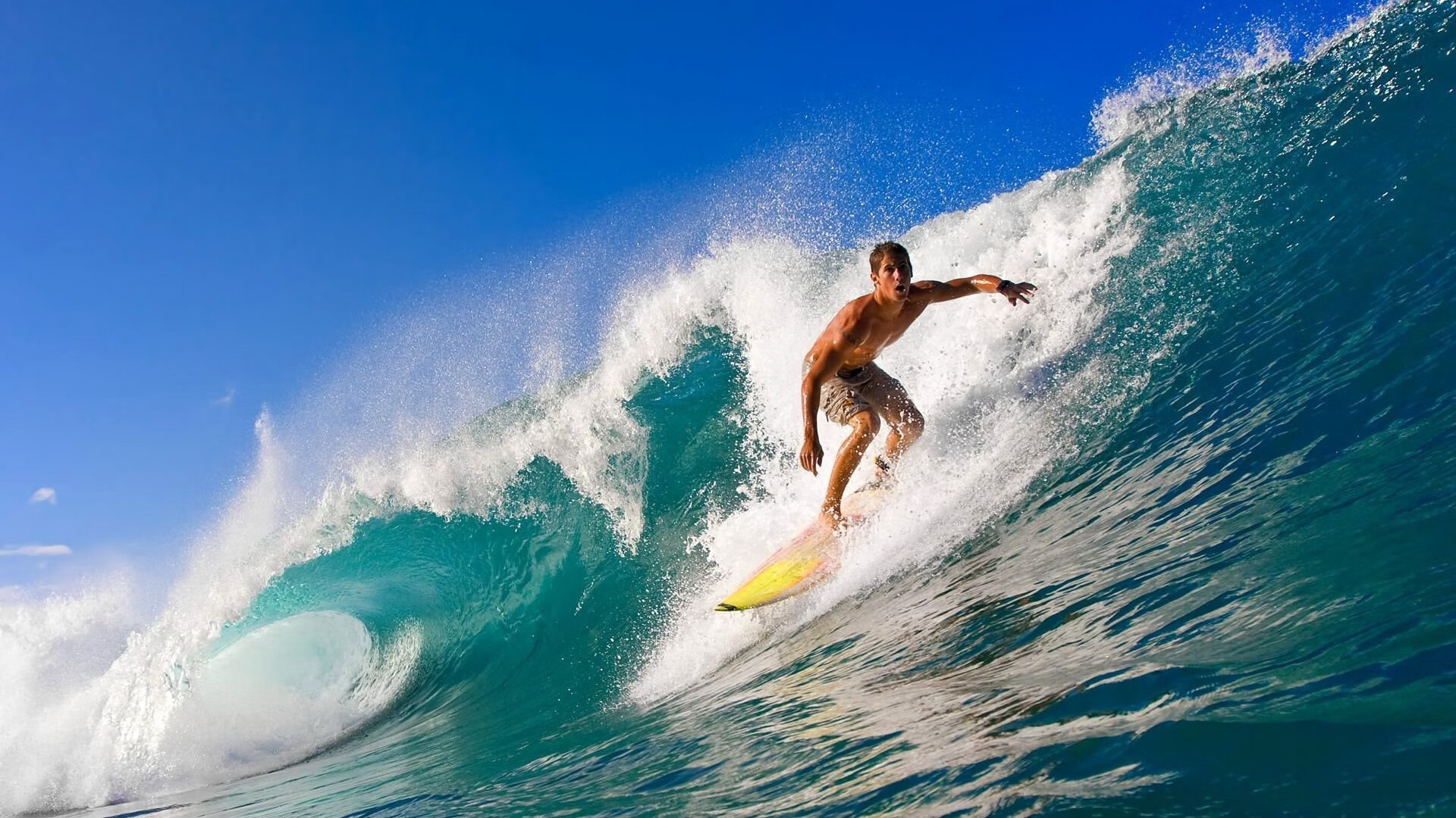 体育世界的励志传奇，体育界的传奇人物